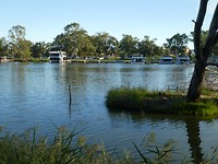 The Murray