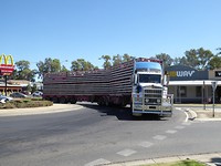 Australische veetruck