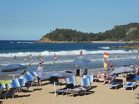Manly Beach