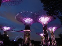 verlichte Supertrees