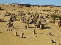 Pinnacles Desert