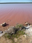 Pink Lake