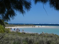 baai  Coral  Bay