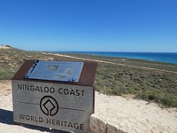 uitzicht  vanaf  Cape  Vlamingh