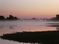 zonsopkomst boven Yellow Water