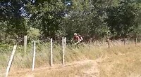 VID-20220620-WA0001