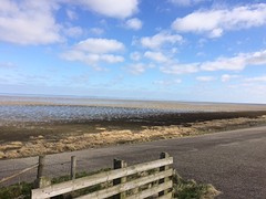 Zicht op de wadden nabij Zwarte Haan