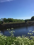 IMG_0387