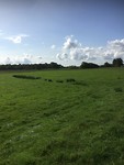 IMG_0947