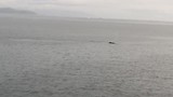 IMG_0368
