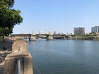 De bruggen over de Willamette River