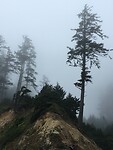 Ecola State Park