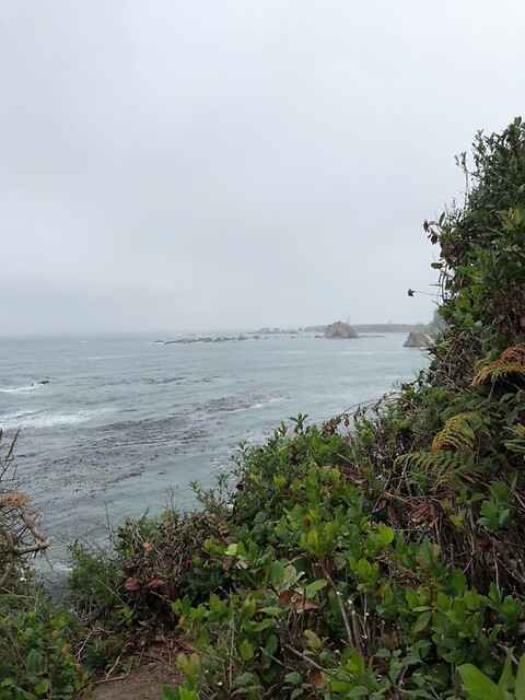 De kust.