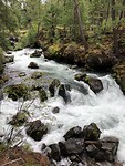 Rogue River.