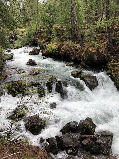 Rogue River.