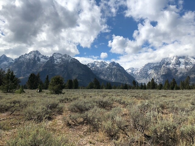 Uitzicht op Teton Range.