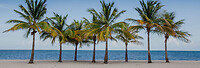 florida