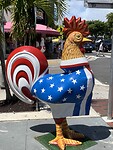 IMG_7211
