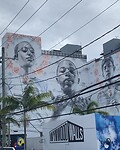 IMG_7239