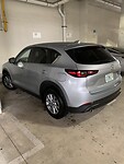 IMG_7251