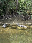 IMG_7252