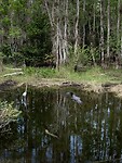 IMG_7253