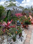 IMG_7337