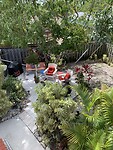 IMG_7336