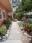 IMG_7335