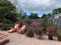 IMG_7334