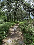 IMG_7354