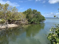 IMG_7363