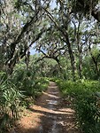 IMG_7376