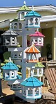 IMG_7424