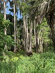 IMG_7489