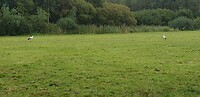 Fietstocht 2