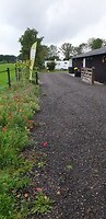 Campertuin Veluwe Noord 1