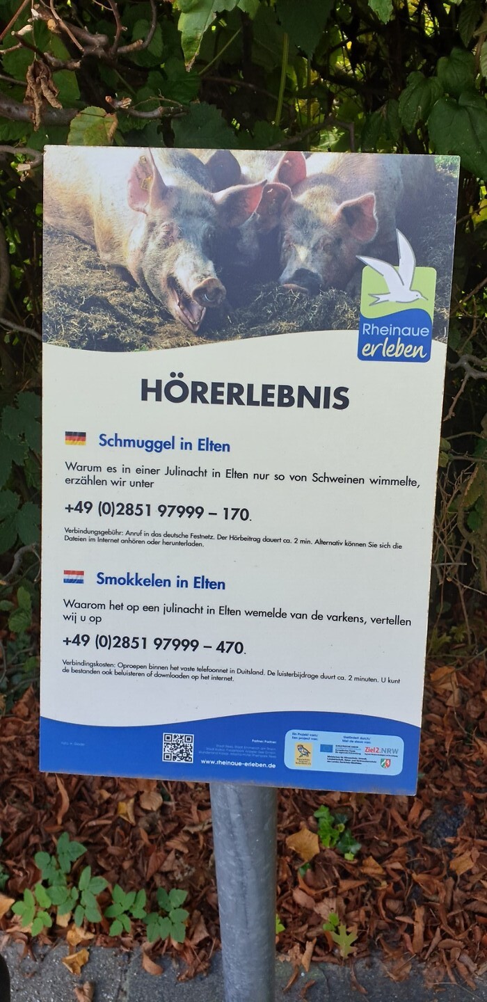 Elten 4