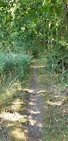 wandeling 2