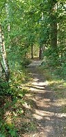 wandeling 1