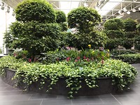Devonian Gardens