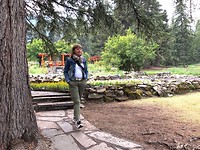 Cascade of time gardens