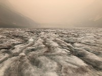 Athabasca gletsjer