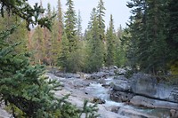 Maligne canyon