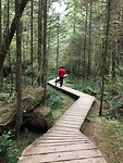 Trail Pacific Rim