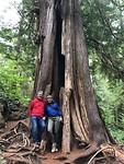 Pacific Rim trail