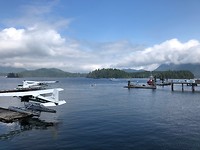 Tofino