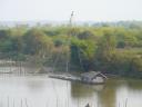 Crane boat