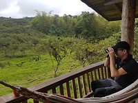 Balkon met hangmat