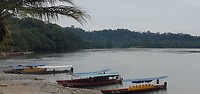 De rivier de Napo